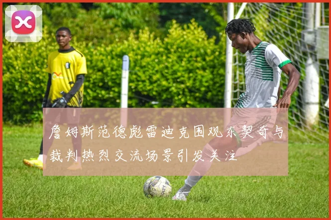 詹姆斯范德彪雷迪克围观东契奇与裁判热烈交流场景引发关注