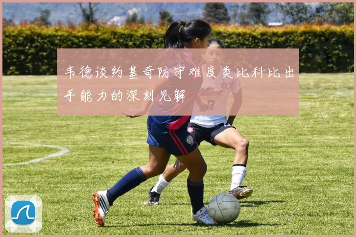 韦德谈约基奇防守难度类比科比出手能力的深刻见解